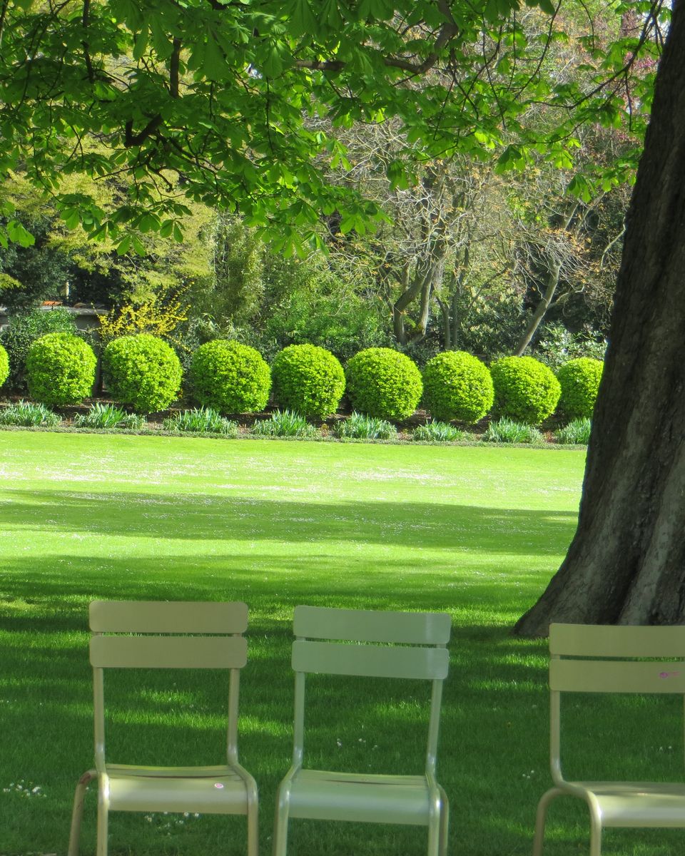 Chaises vertes alignées face à une pelouse du jardin du Luxembourg, à Paris