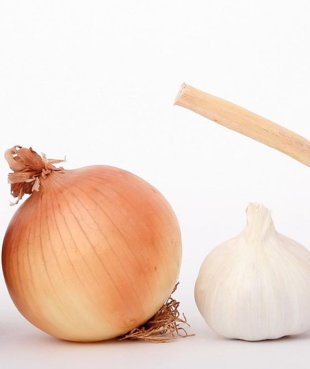 Recettes anti-gaspillage faciles et rapides pour adultes
