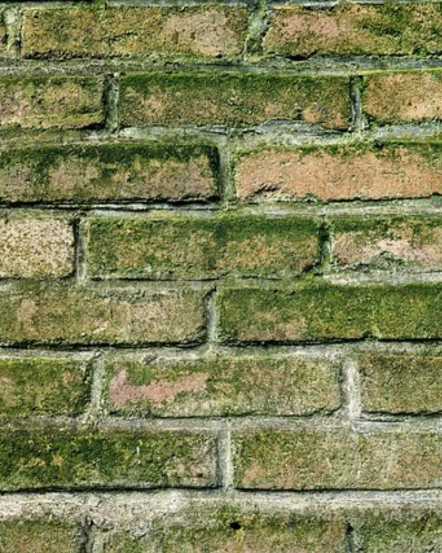 Détection de l&rsquo;humidité dans la maison : comment savoir