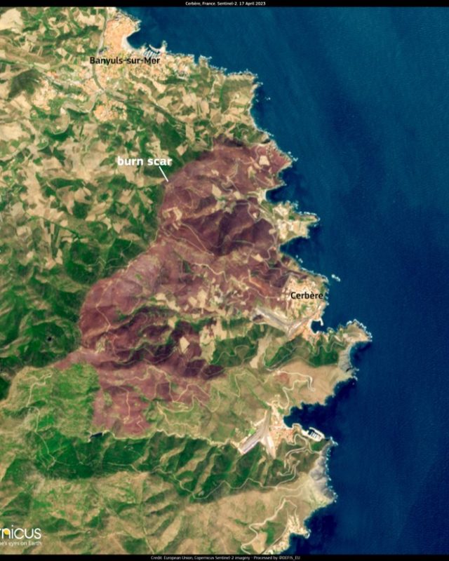 Incendies en Pyrénées-Orientales : pourquoi les habitats légers sont-ils ciblés ?