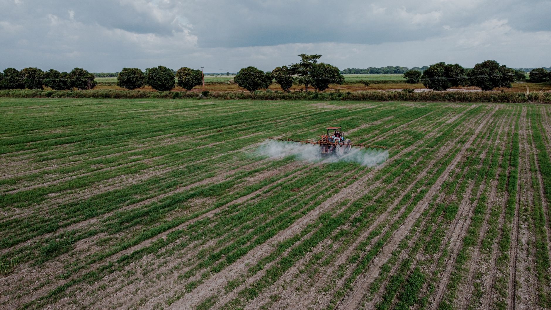 La vérité dérangeante sur les pesticides : des enfants sacrifiés sur l'autel de l'agriculture intensive