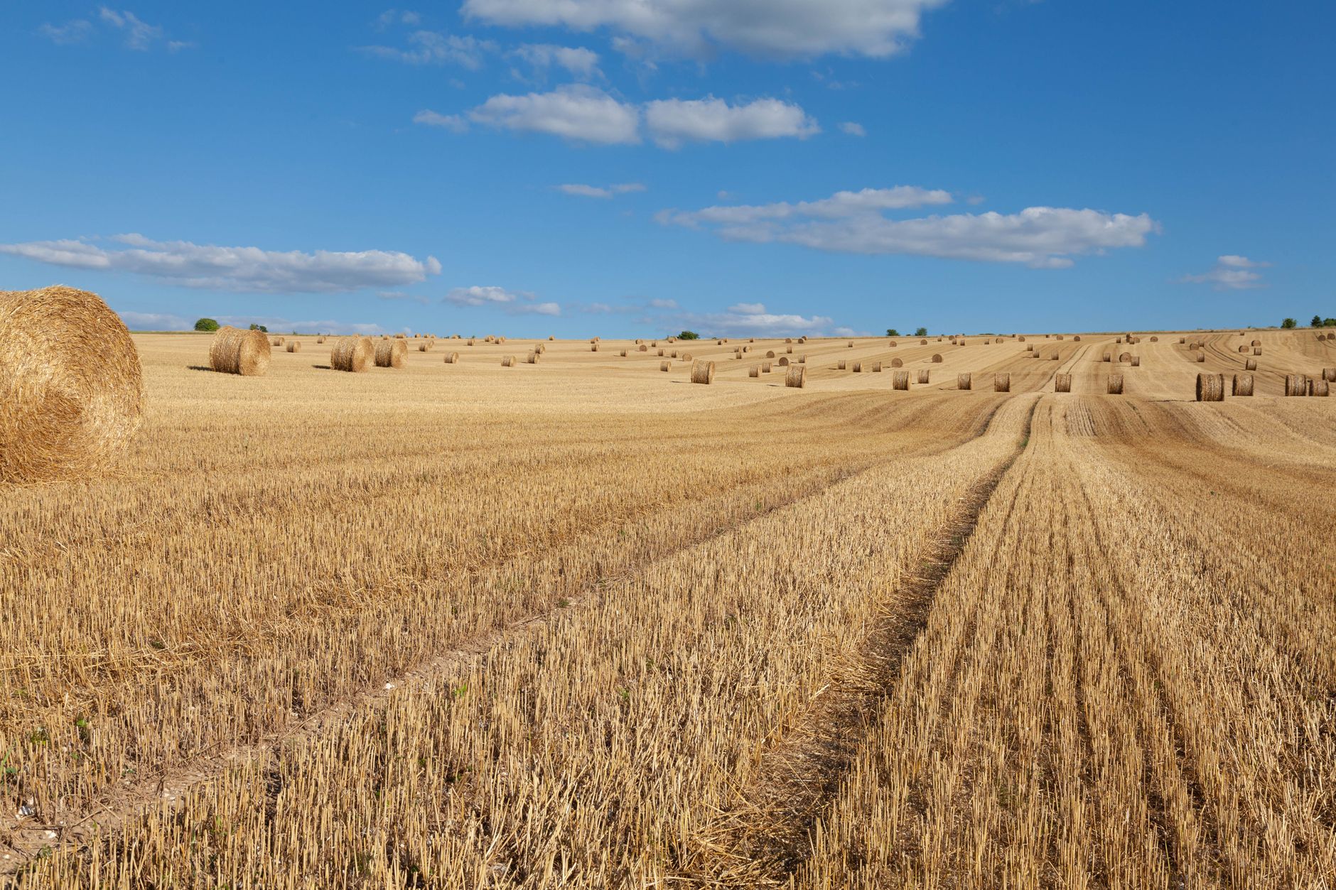 Pesticides : le silence du gouvernement plonge les agriculteurs dans l'incertitude