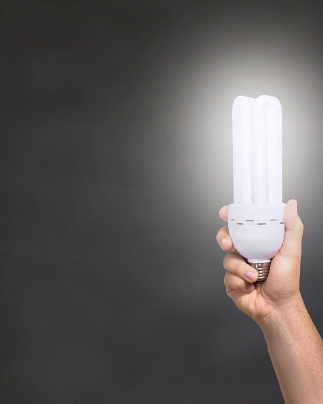 Comparatif ampoule LED vs halogène : efficacité et durée de vie