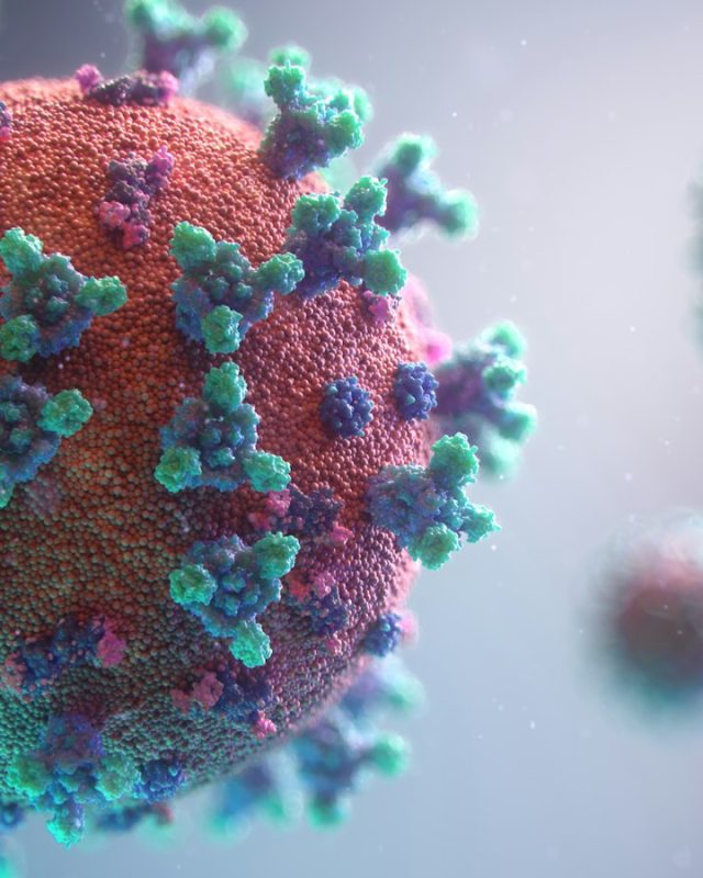 Ebola au Kenya : un décès qui soulève des inquiétudes sanitaires majeures