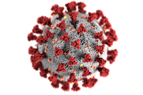 Virus Shamonda : une alerte inquiétante pour les patients vulnérables