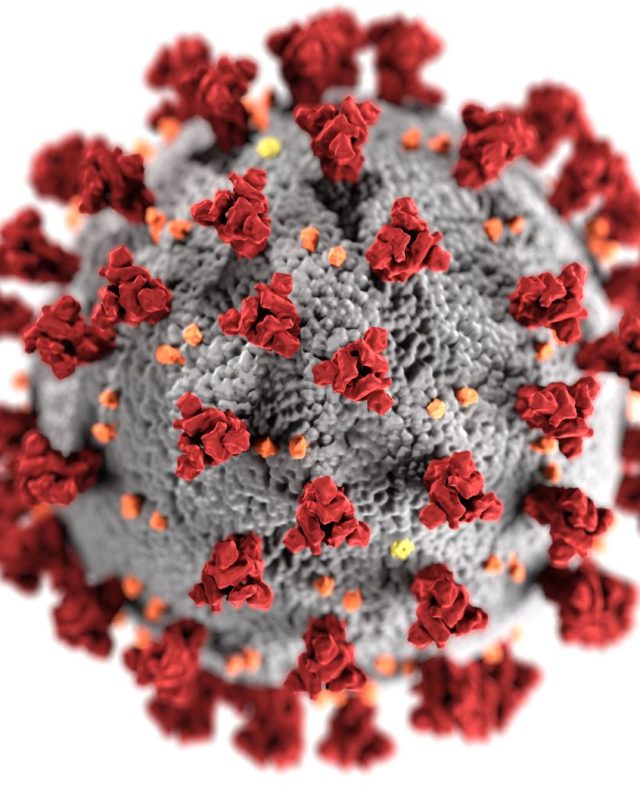 Virus Shamonda : une alerte inquiétante pour les patients vulnérables