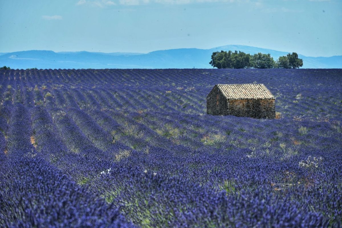 Week-end en Vaucluse à deux : budget et organisation d&rsquo;un séjour insol