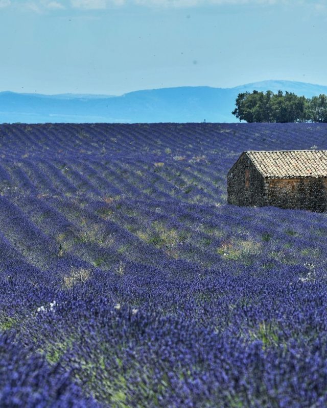Week-end en Vaucluse à deux : budget et organisation d&rsquo;un séjour insol